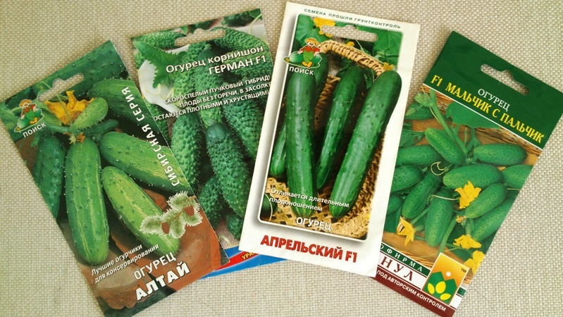 Самые урожайные и вкусные самоопыляемые семена огурцов ( 18 фото ) »Фаномания - эротика и приколы
