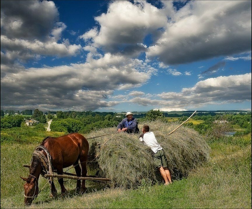 Эта простота деревенской жизни. Русская деревня сенокос. Сенокос деревня природа. Лето в деревне. Красивые пейзажи деревни.